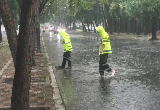 防汛常規(guī)物資中主要包含麻袋吸水膨脹袋,無紡布吸水膨脹袋,防汛沙袋,防汛噸袋,防汛編織袋,雨衣,雨靴,雨傘,彩條布,工兵鏟,十字鎬,八磅錘,應(yīng)急救生包等。