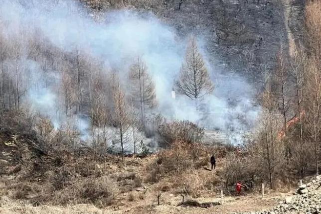 明火已撲滅，初步判斷由祭祀用火引發(fā)！今年已發(fā)生多起